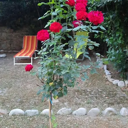 Au Jardin De Appartement Florence
