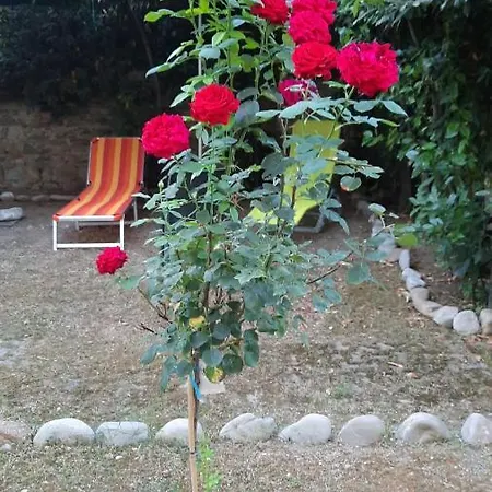 Au Jardin De شقة فلورنس