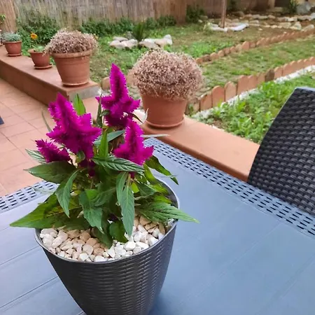 Au Jardin De Appartement